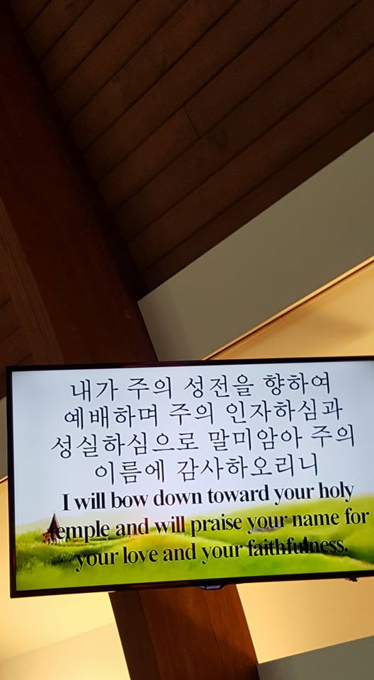 15965240_10211605863612987_2267500165242992158_n